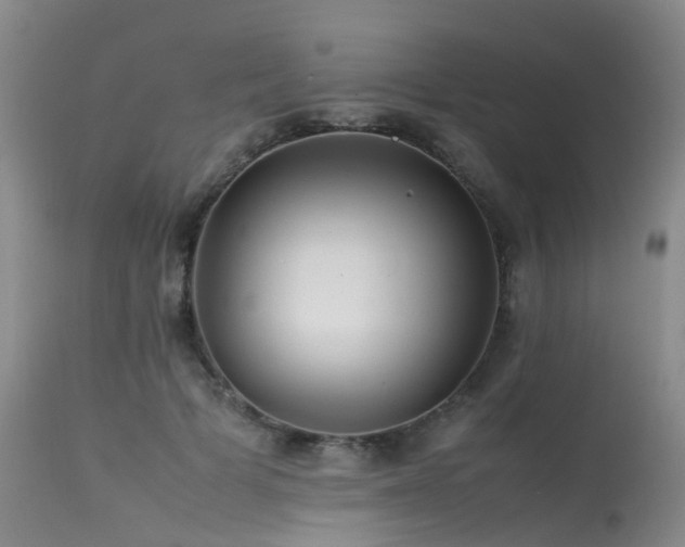 X0000113620697200909251207