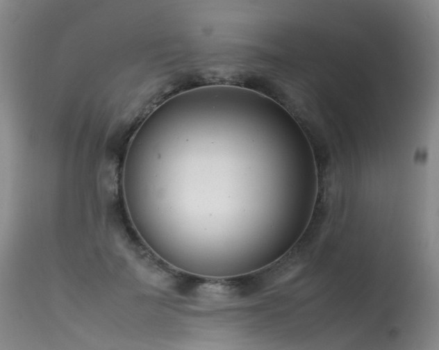 X0000113620699200909251206