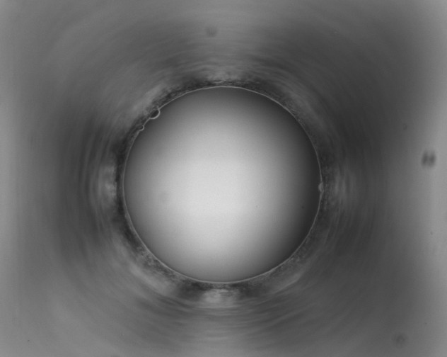 X0000113620700200909251206