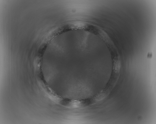 X0000113620701200909251206