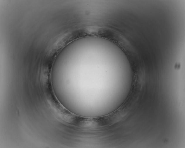 X0000113620702200909251206