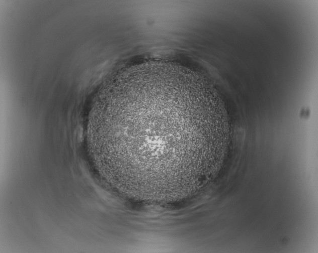 X0000113620703200909251206