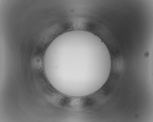 X0000113620705200909251206