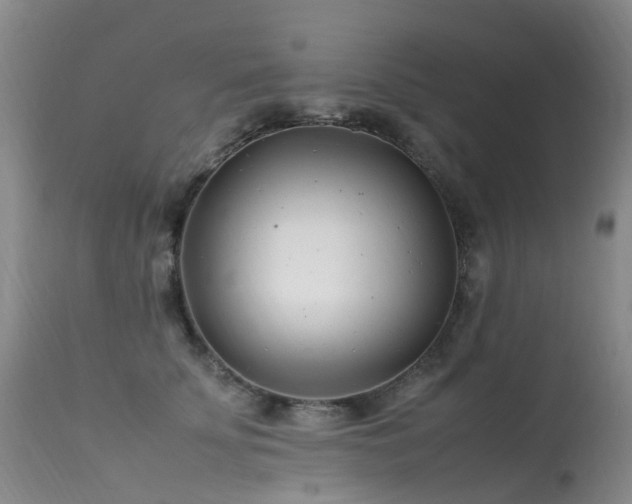 X0000113620707200909251206