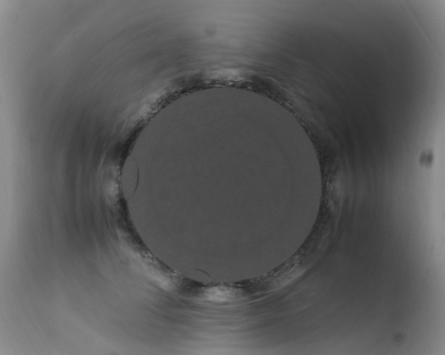 X0000113620708200909251206