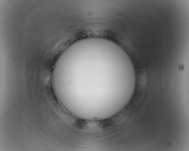 X0000113620709200909251206