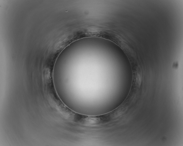 X0000113620711200909251206