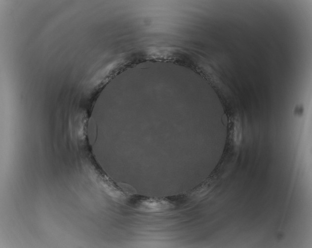 X0000113620712200909251206