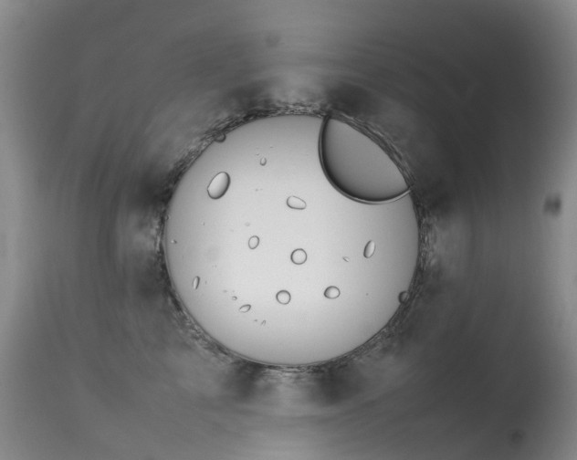 X0000113620713200909251206