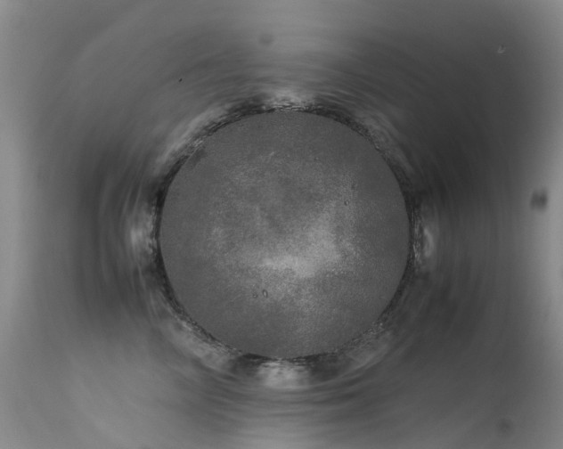 X0000113620714200909251206