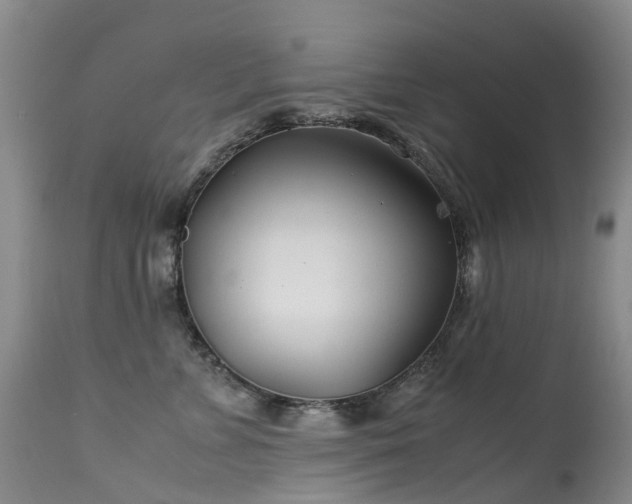 X0000113620715200909251206