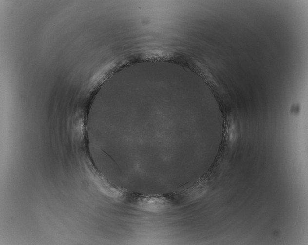 X0000113620716200909251206