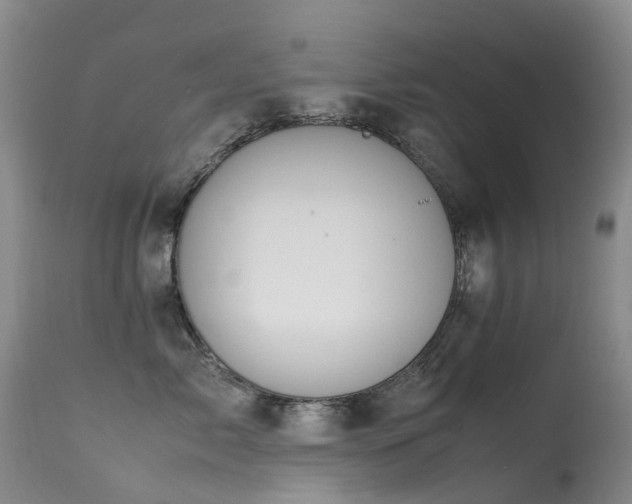 X0000113620717200909251206