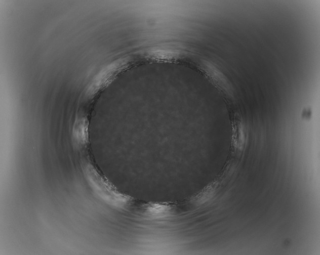 X0000113620718200909251206