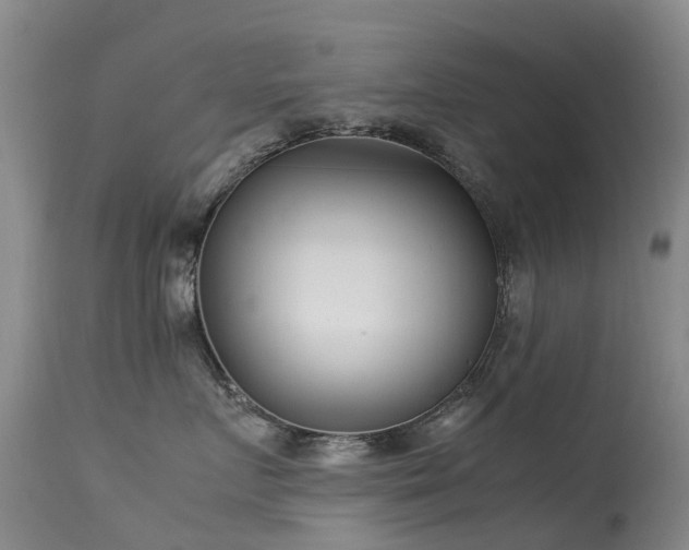 X0000113620719200909251206