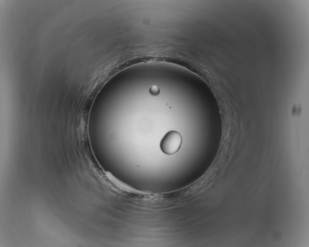 X0000113620720200909251206