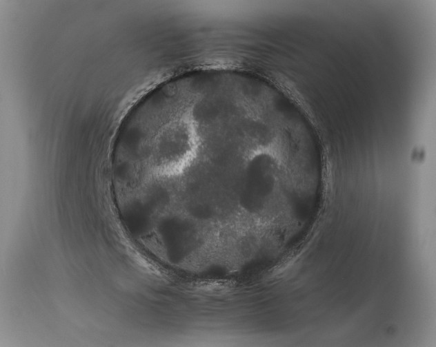 X0000113620721200909251206