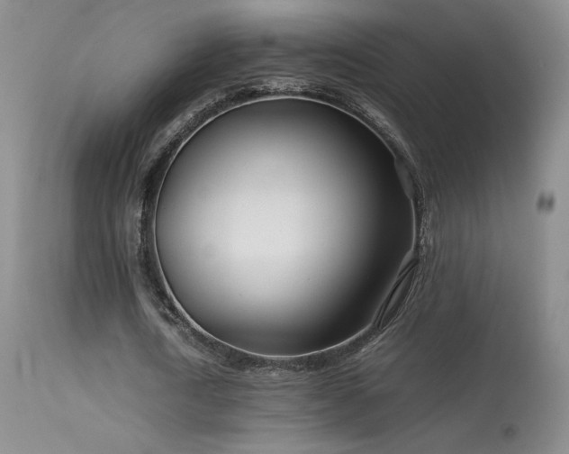 X0000113620722200909251206