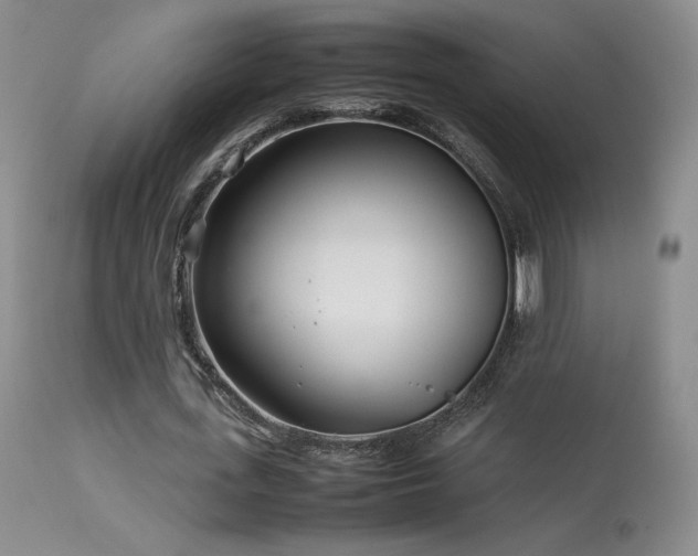 X0000113620723200909251206