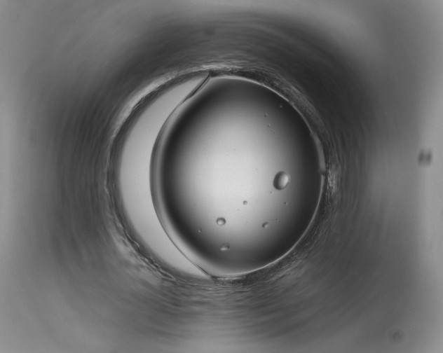 X0000113620724200909251206