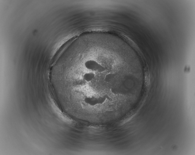 X0000113620725200909251206