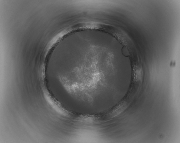 X0000113620726200909251206