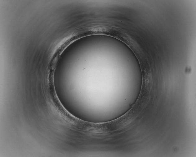 X0000113620727200909251206