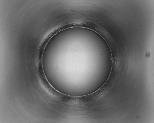 X0000113620728200909251206