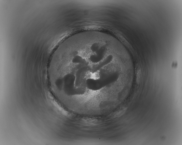 X0000113620729200909251206