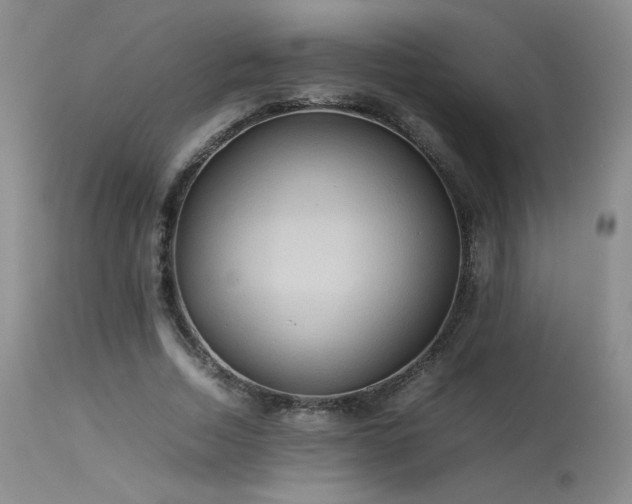 X0000113620730200909251206