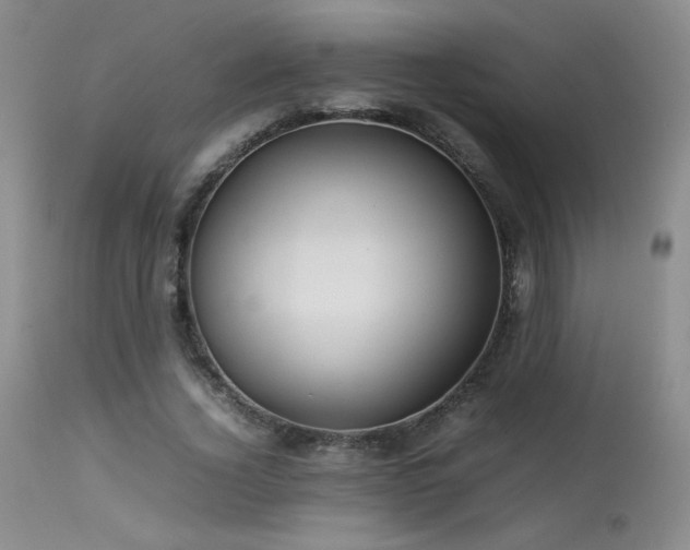 X0000113620732200909251206