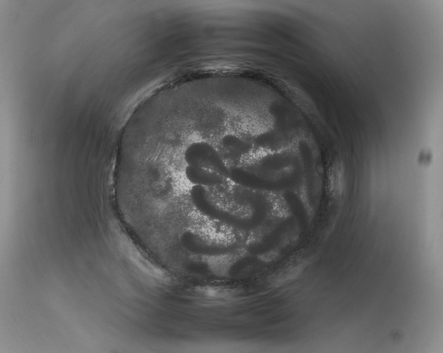 X0000113620733200909251206