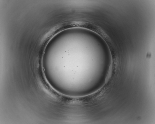 X0000113620734200909251206