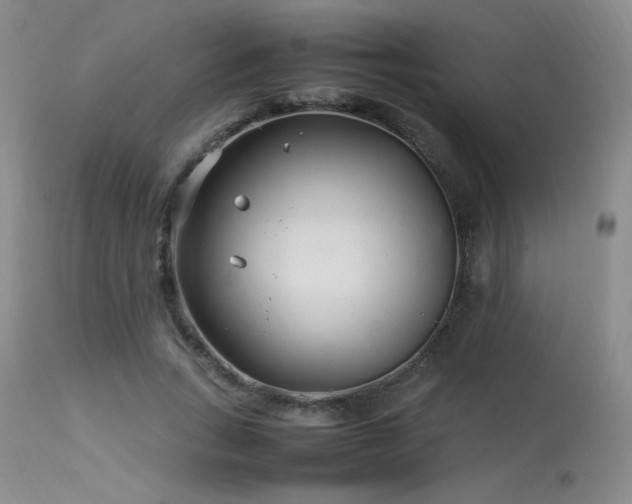 X0000113620735200909251206