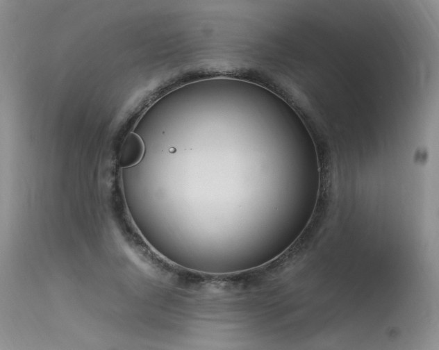 X0000113620736200909251206