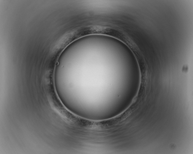 X0000113620738200909251206