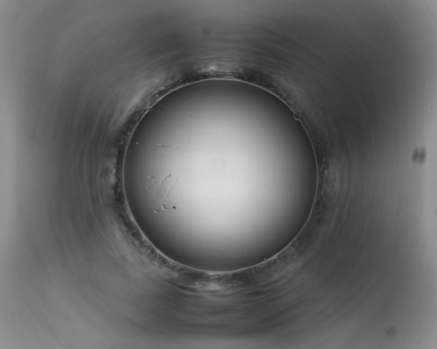 X0000113620739200909251206