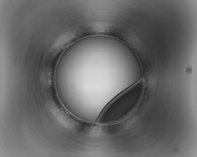 X0000113620740200909251206