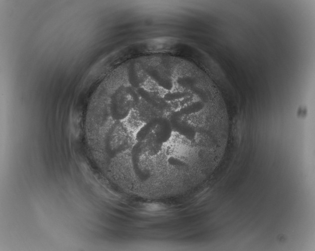 X0000113620741200909251206