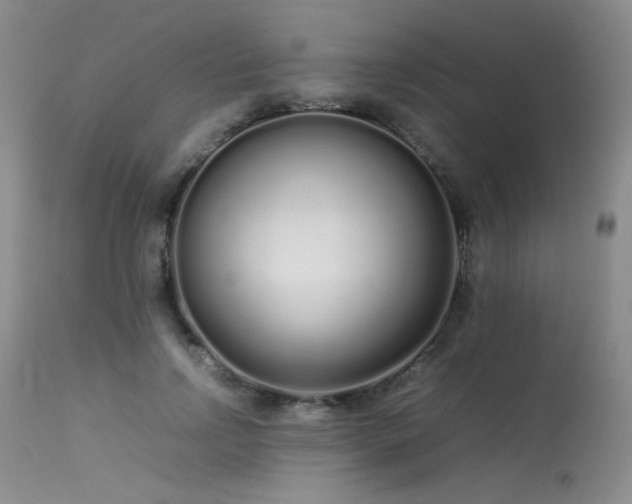 X0000113620742200909251206