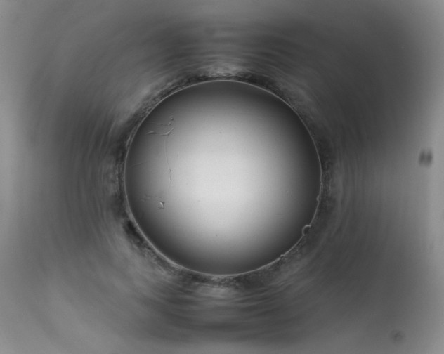 X0000113620743200909251206