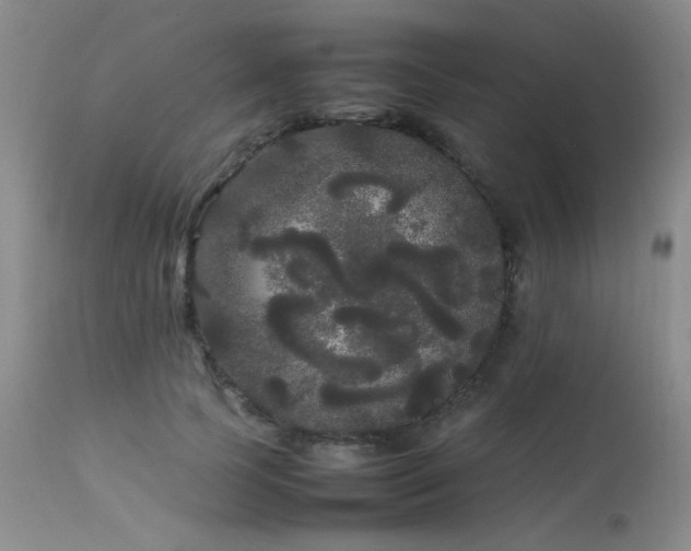 X0000113620745200909251206