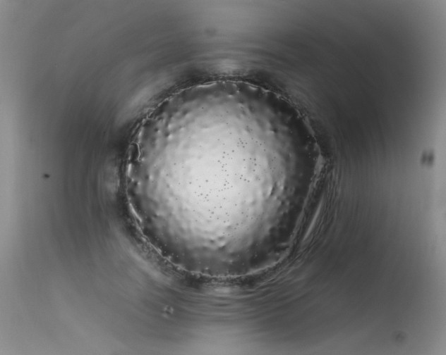 X0000113620746200909251206