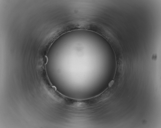 X0000113620748200909251206