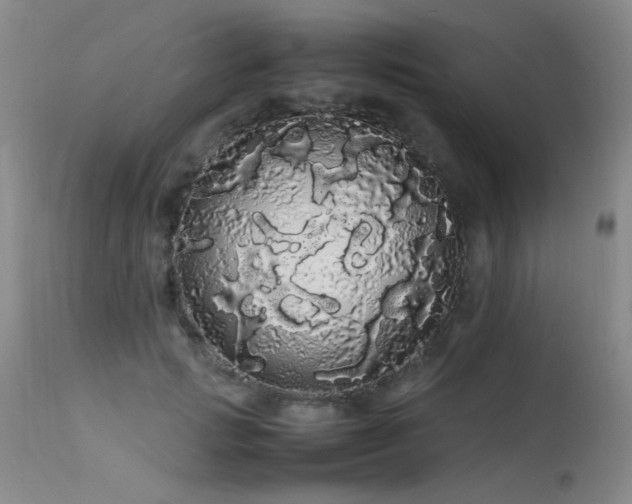 X0000113620749200909251206