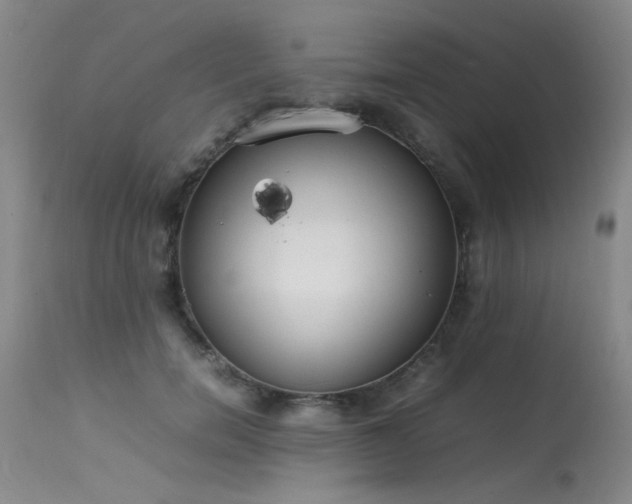 X0000113620750200909251206