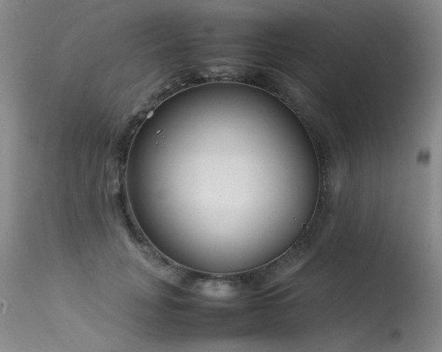 X0000113620751200909251206