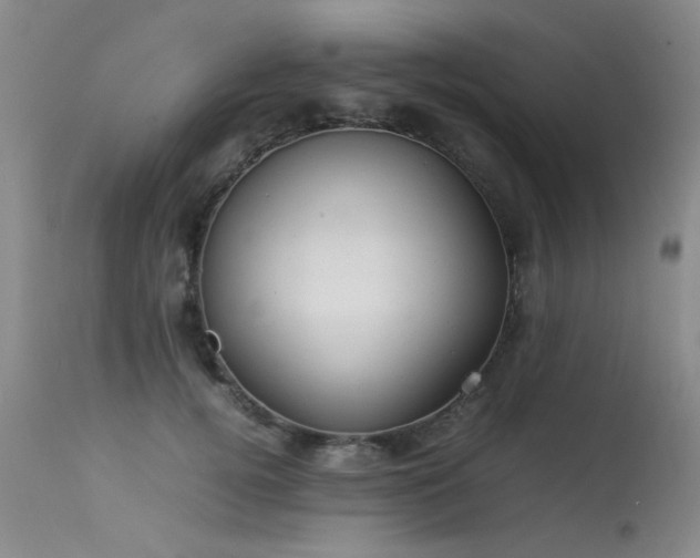 X0000113620752200909251206