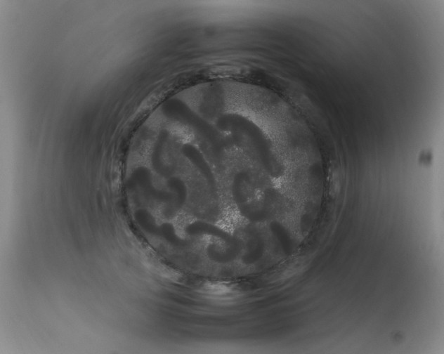 X0000113620753200909251206