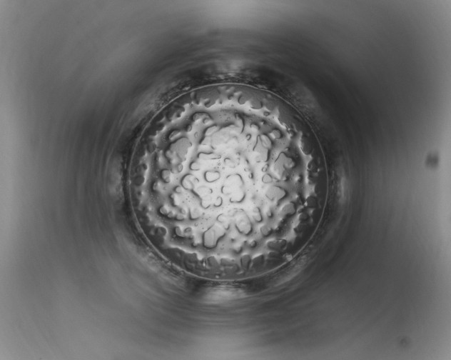 X0000113620754200909251206